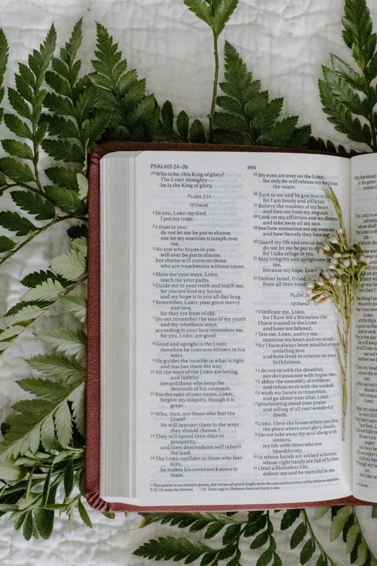 Bible study | christian women blog